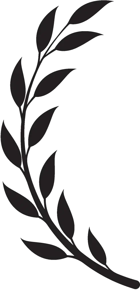 laurel